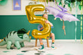 balionas balionai dinozauras dinozaurų tema gimtadienis