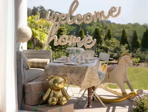 supamas arkliukas balionas arklys fotosesijai krikstynos gimtadienis 